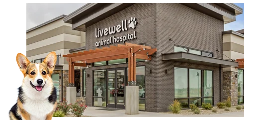 Livewell Animal Hospital of Herriman