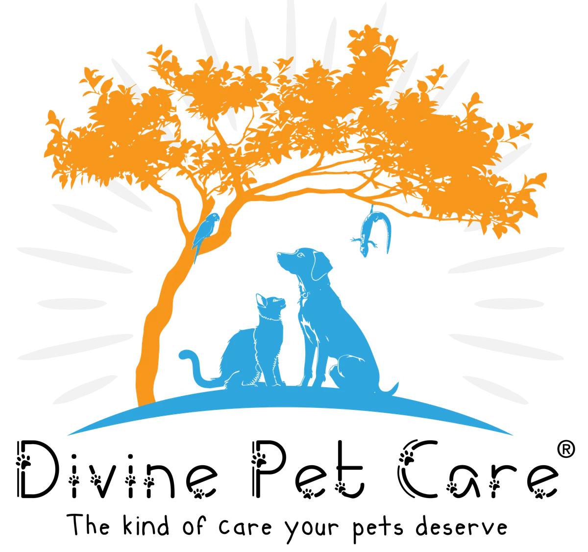 Divine Pet Care