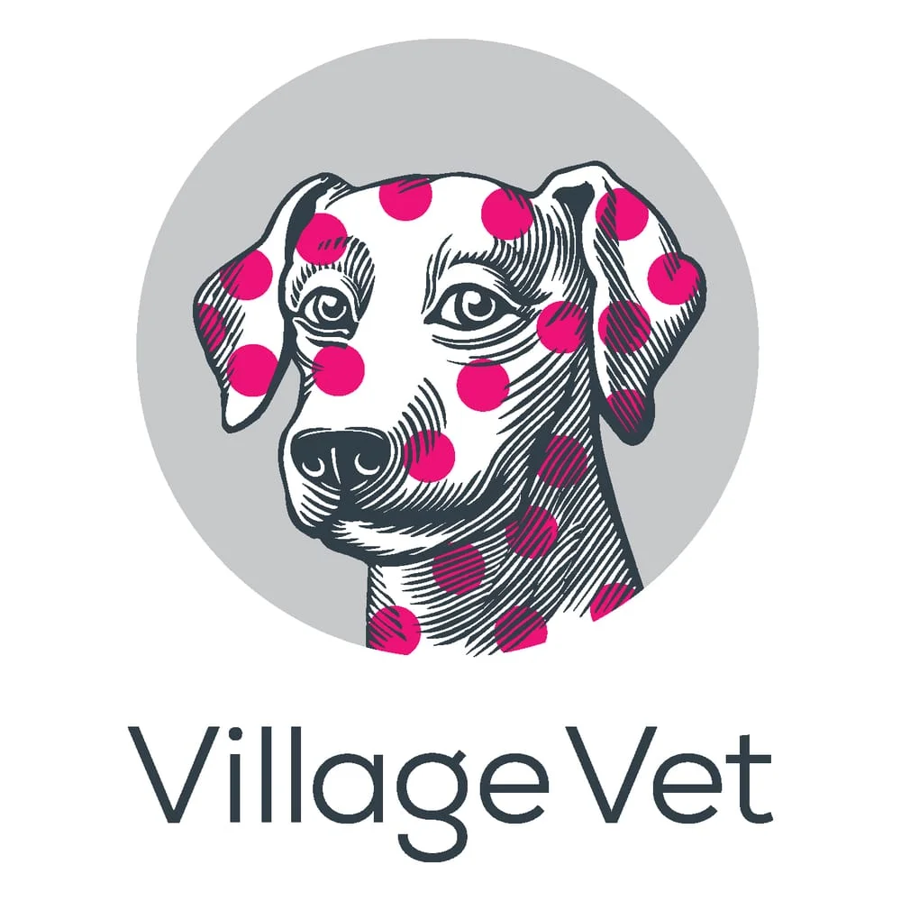 Village Vet - Highbury
