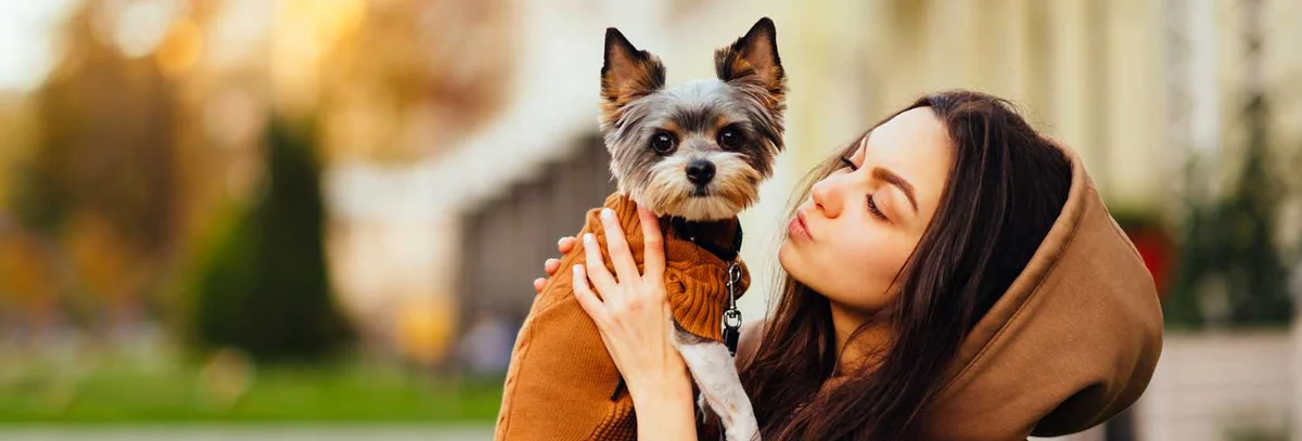 Westwood Hospital for Animals