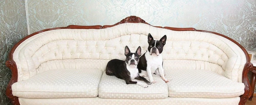 Millwoods East Veterinary Clinic