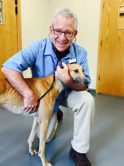 Foley Blvd Animal Hospital