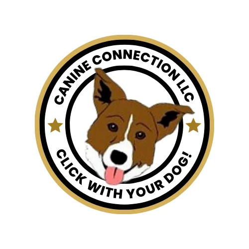 Canine Connection