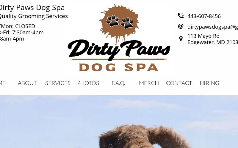 Dirty Paws Dog Spa