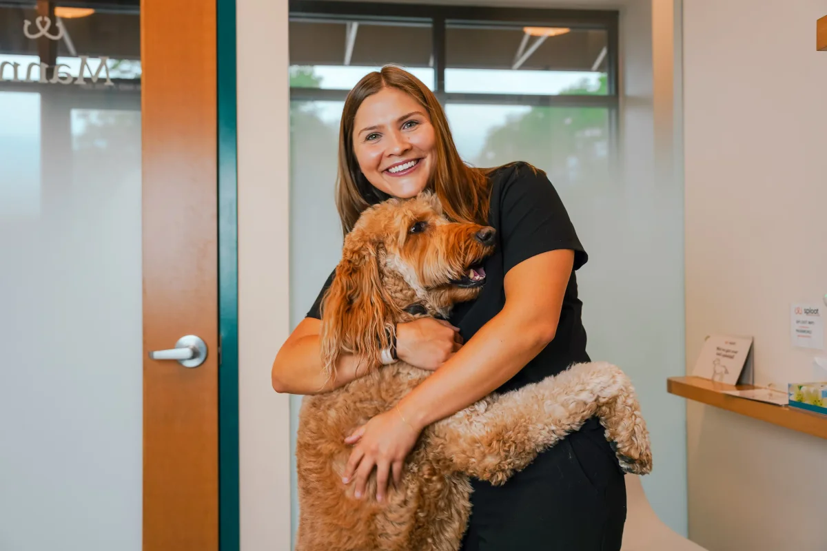 Sploot Veterinary Care - Platt Park