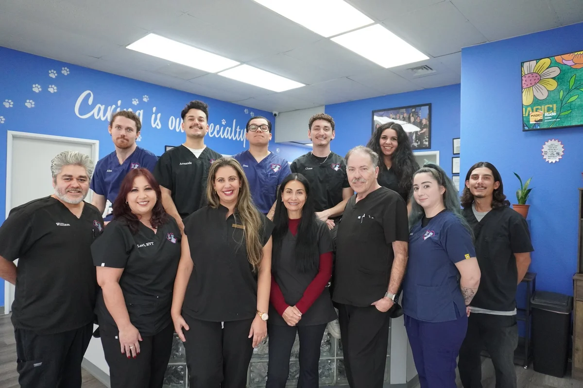 Canyon Hills Animal Hospital and Specialty Center