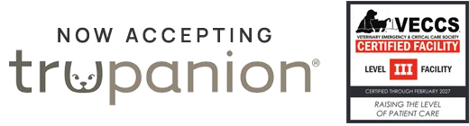 Gilbert Queen Creek Emergency Veterinarian & Pet Urgent Care