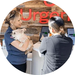 UrgentVet - Irving