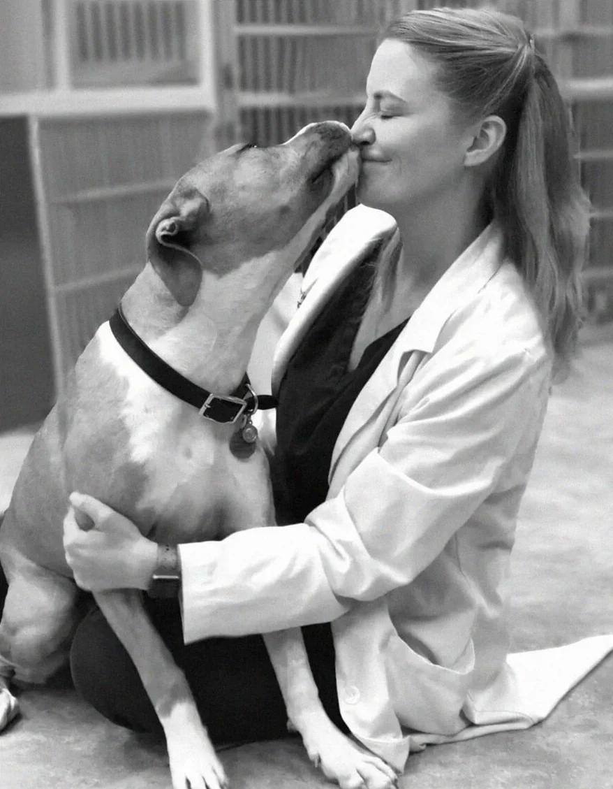 Remedy Veterinary Specialists