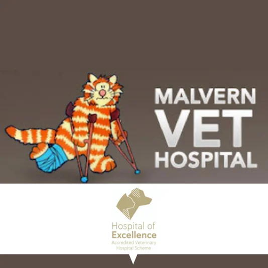 Malvern Veterinary Hospital