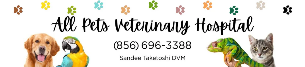 All Pets Veterinary Hospital