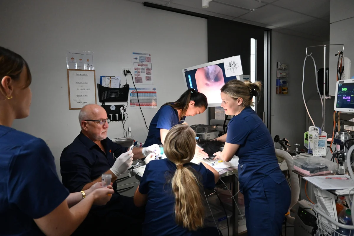 Central Coast 24/7 Emergency Vet & Specialty Hospital