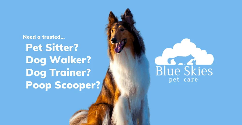 Blue Skies Pet Care