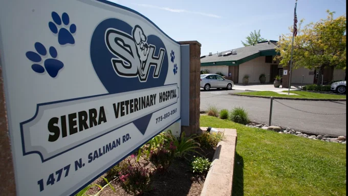 Valley Vet Surgery