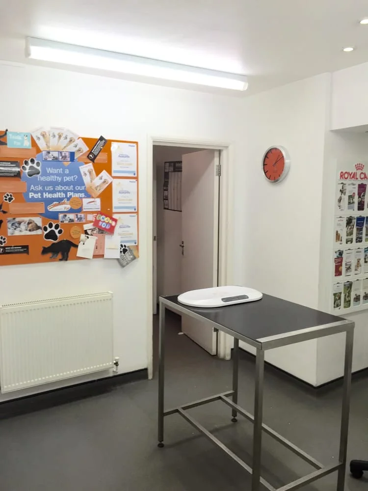 Zasman Vet Stroud Green