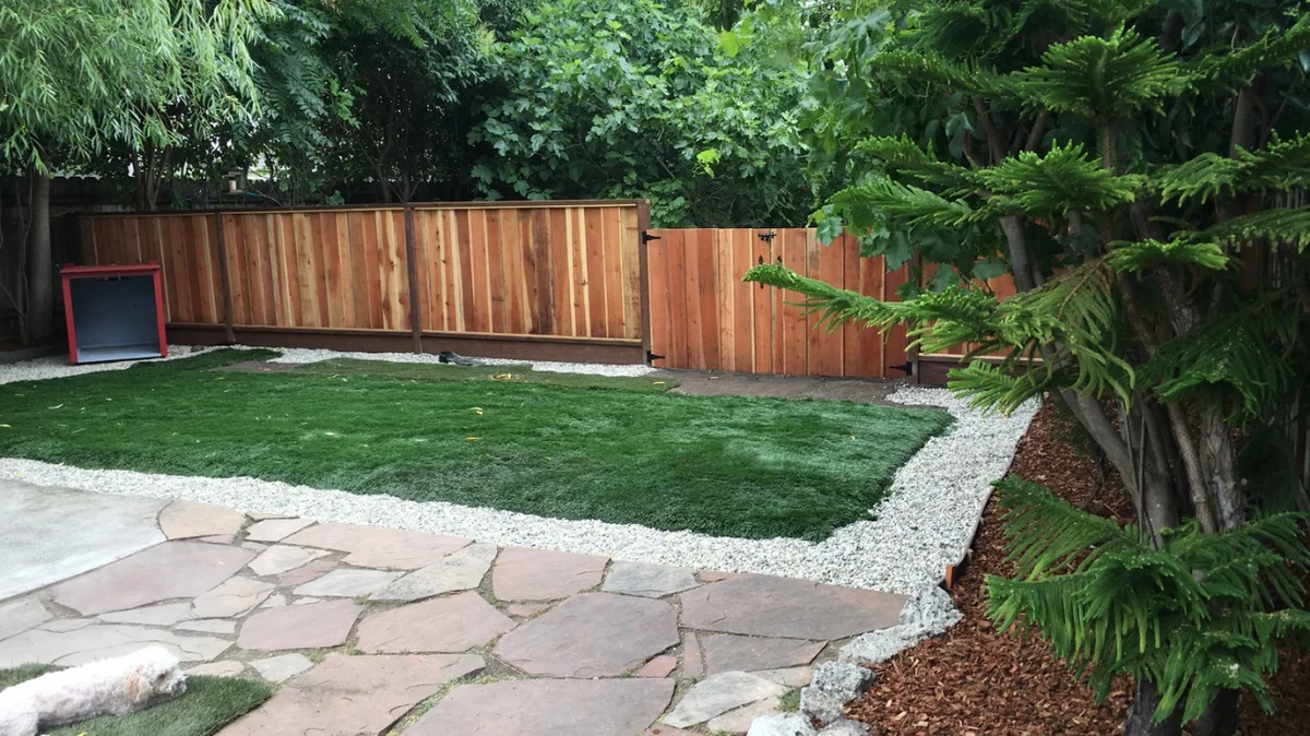 Noah's Bark Dog Daycare