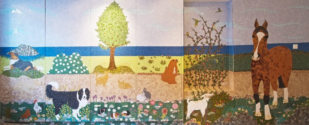 Tierarztpraxis Dr. Vogel