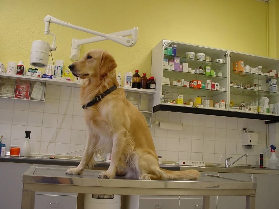 Tierarztpraxis am Mauerpark