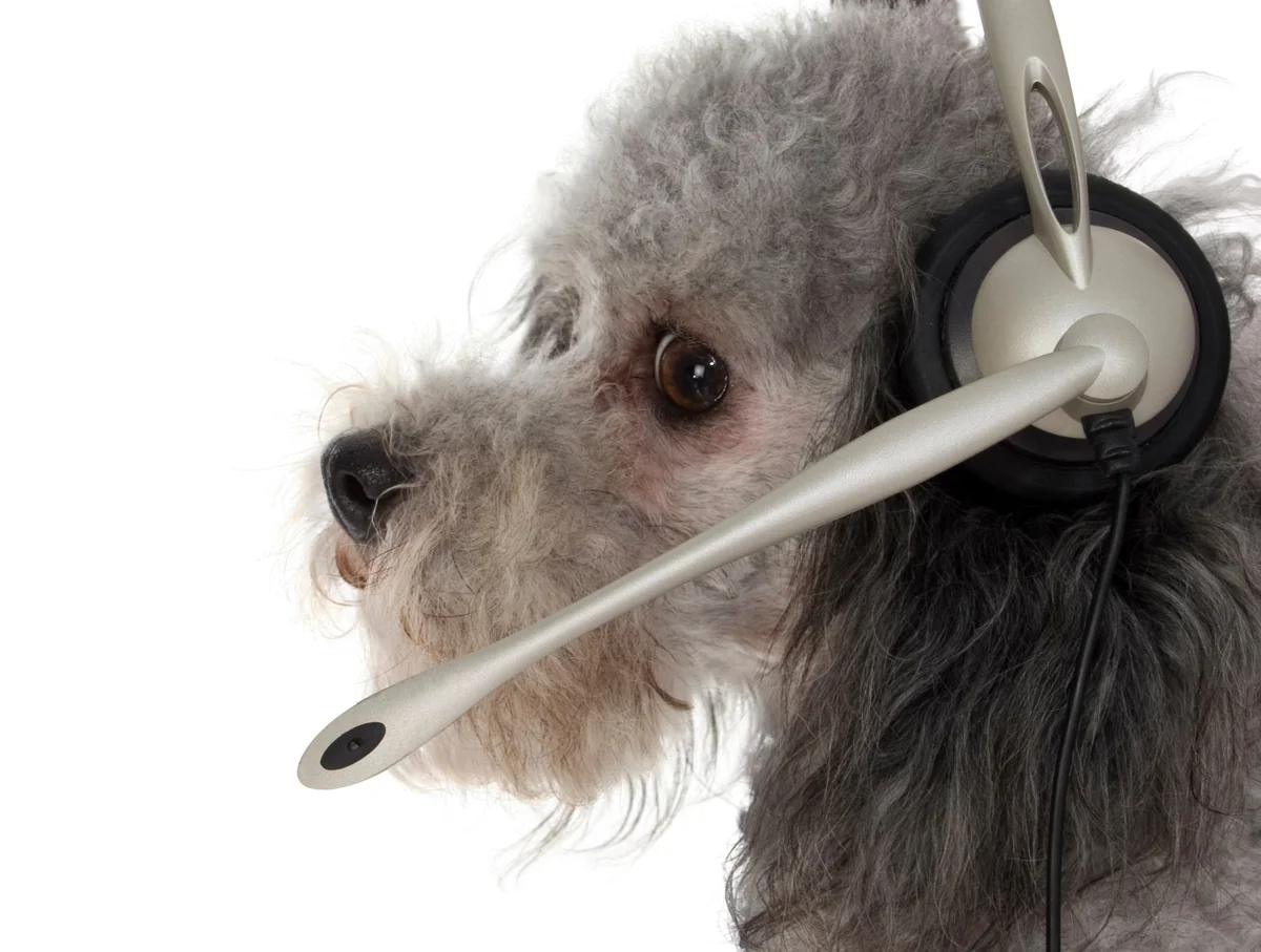 Animal Care Services