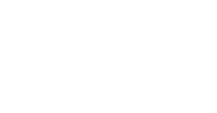The Doggo