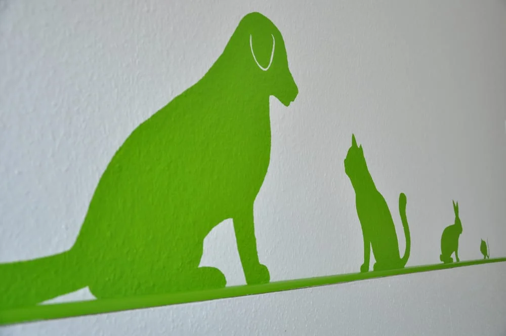 Tierpraxis Dr. Schmalz-Picchedda