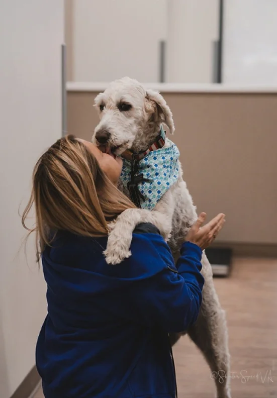 Caring Hands Animal Hospital - Suffolk