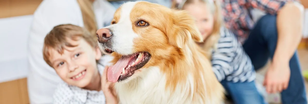 Atrium Animal Hospital