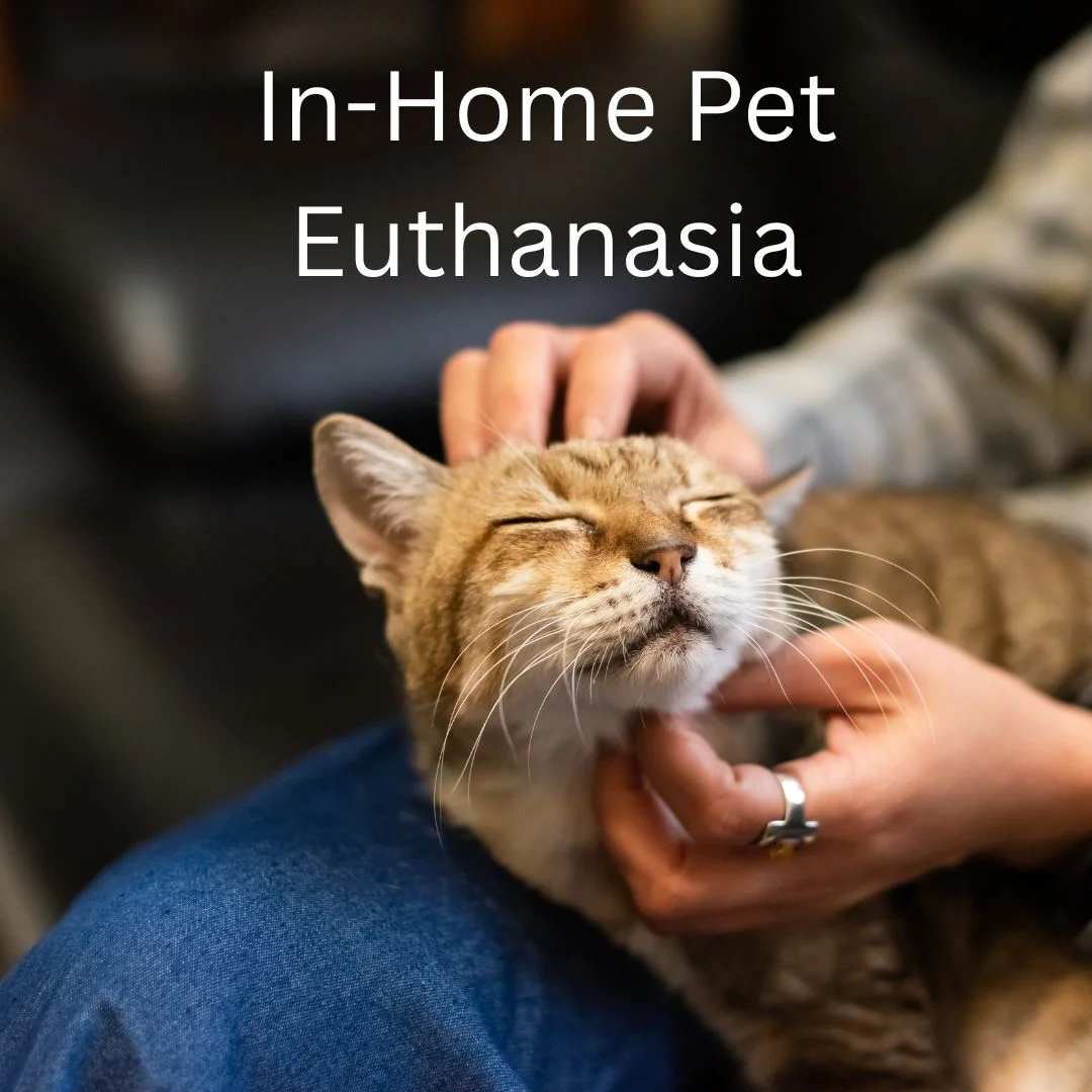 Loving Paws- In Home Euthanasia Service