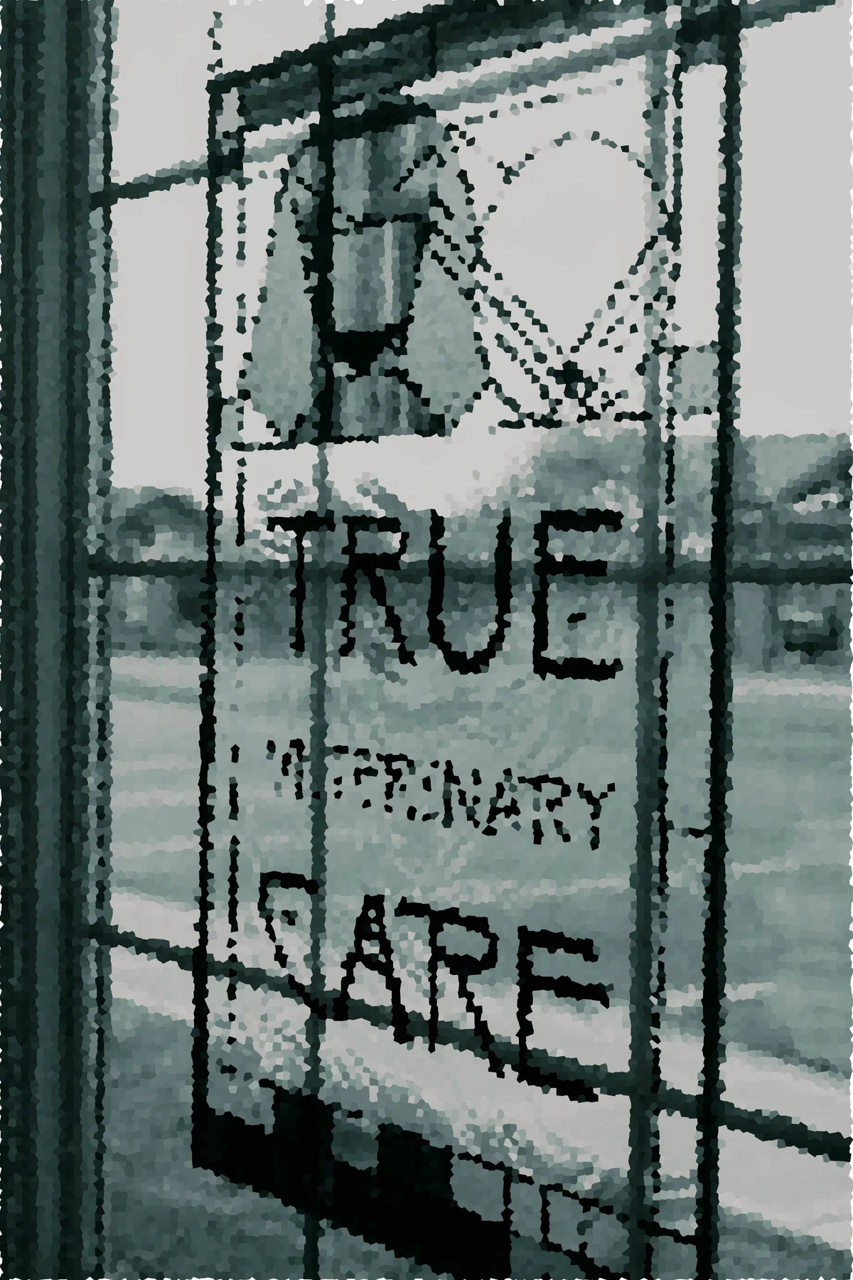 True Veterinary Care