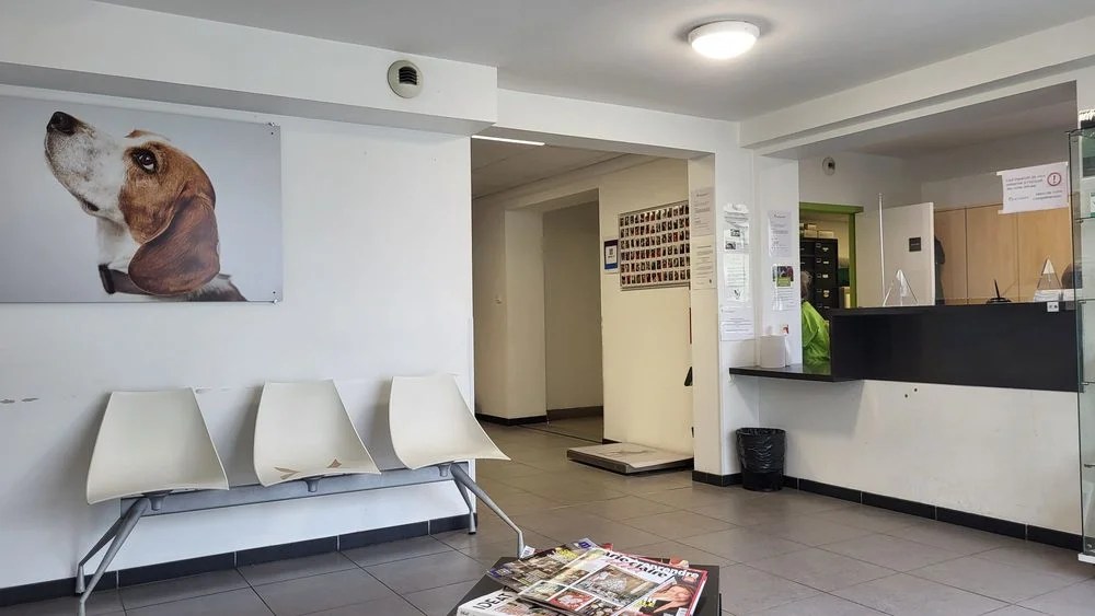 Vétérinaires Oncovet