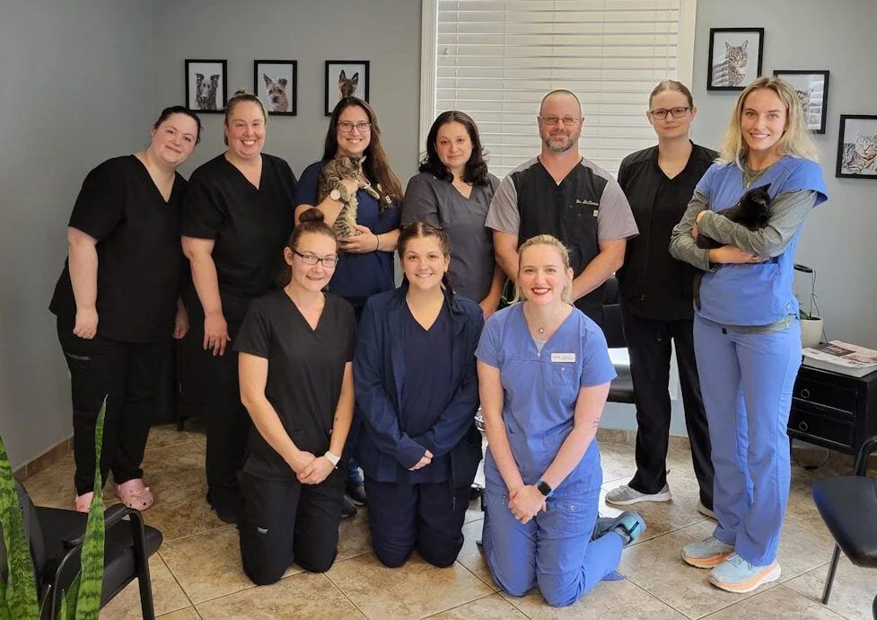 Hollymead Veterinary Hospital