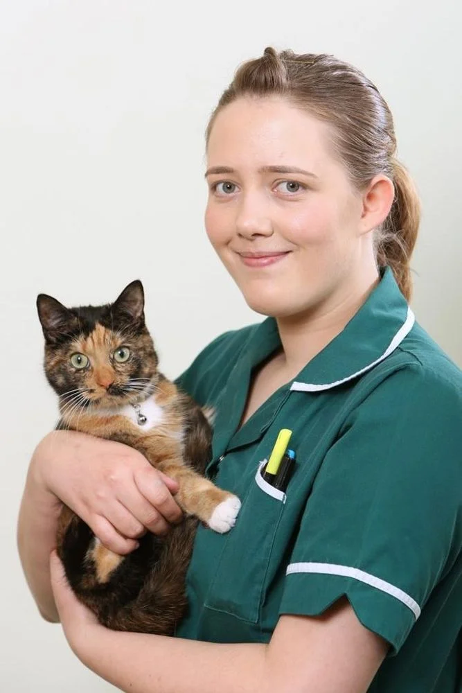 Chantry Vets Surgery