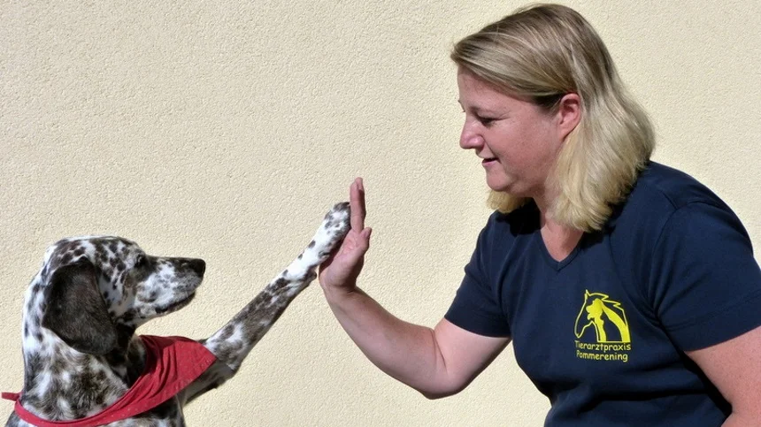 Tierarztpraxis Daniela Pommerening