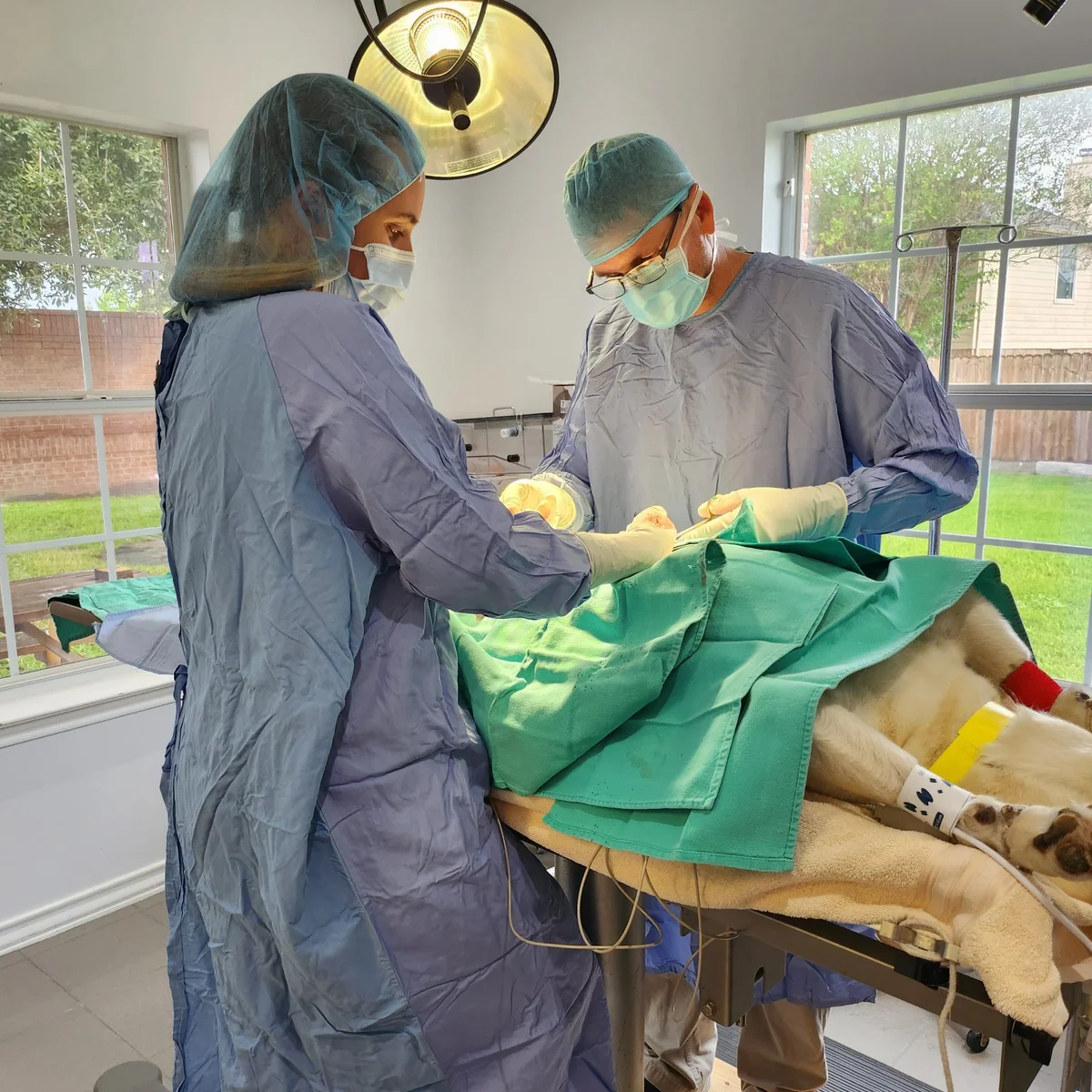 Pearland Pet Health Center