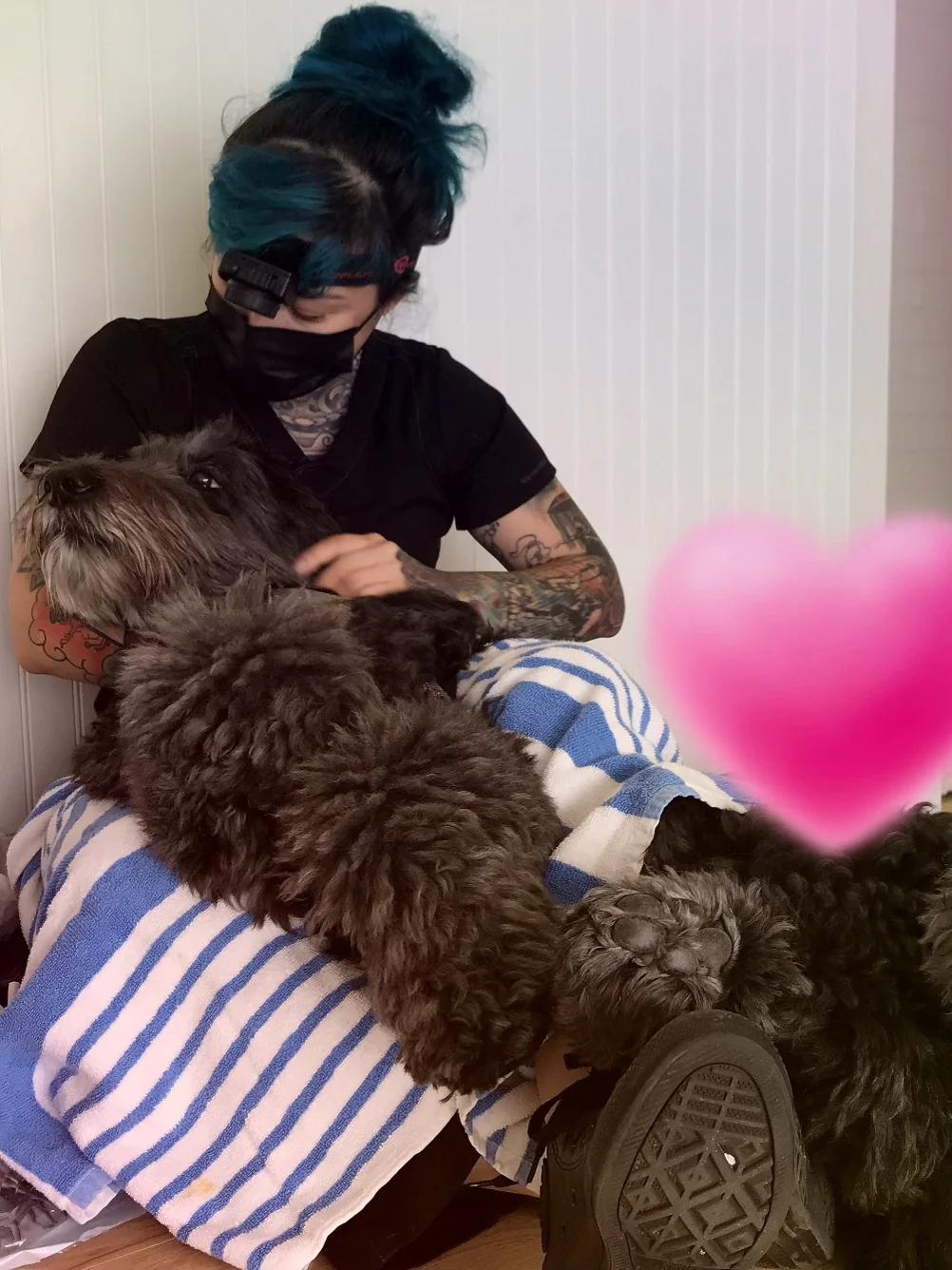 Tooth & Nail Pet Care