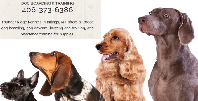 Thunder Ridge Kennels