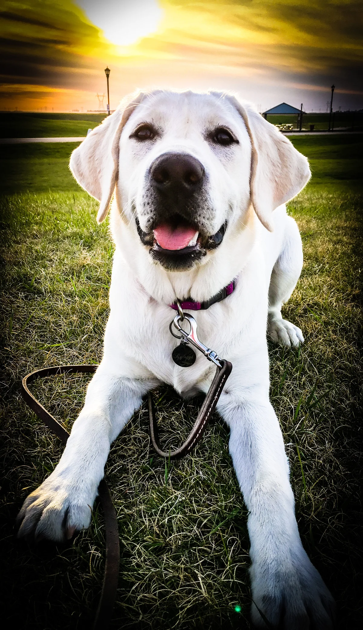 Two Rivers Veterinary Hospital