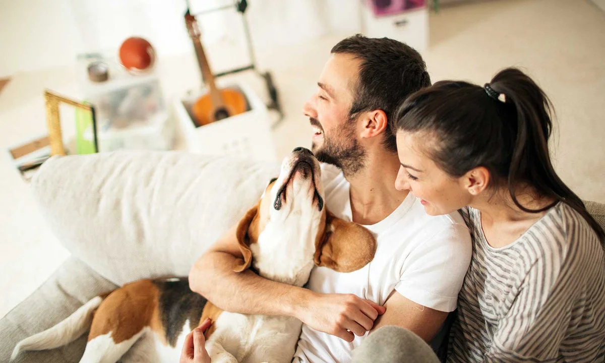 Vital Vet Animal Hospital