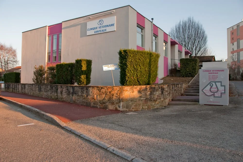 Vétérinaire Vanteaux