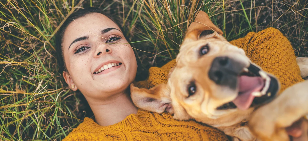 Goose Creek Animal Hospital