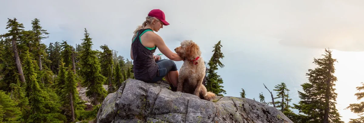 Evergreen Veterinary Hospital