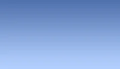 Annapolis Dog Walkers