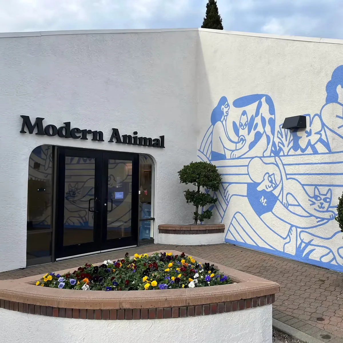 Modern Animal Walnut Creek