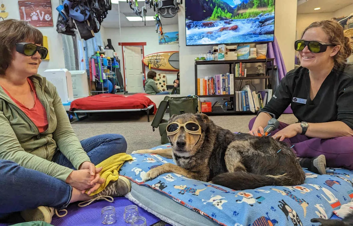 Ruff Day Vet + Pet Gym