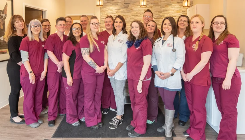 Veterinary Care of Ithaca