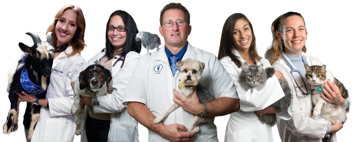 Michigan City Animal Hospital