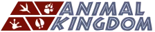 Animal Kingdom