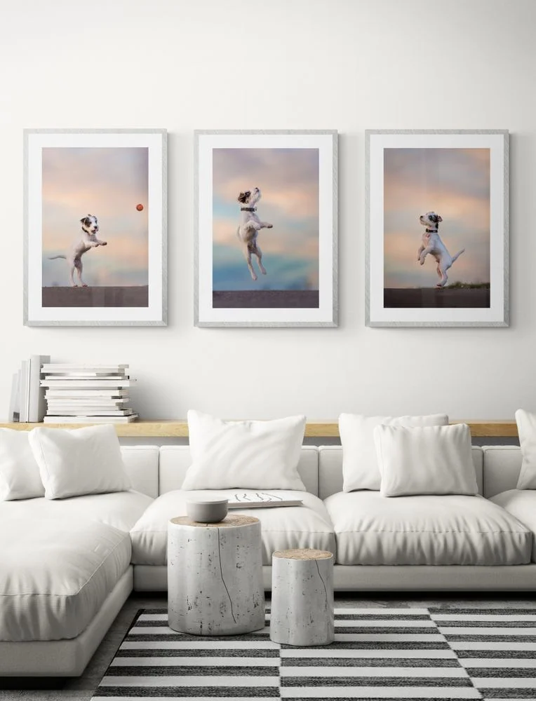 Tracy Munson Photography