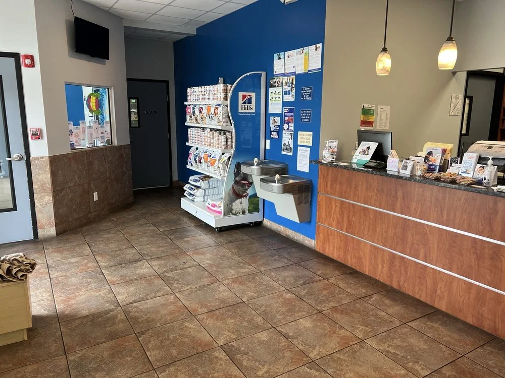 Forever Vets Animal Hospital of Jacksonville Beach