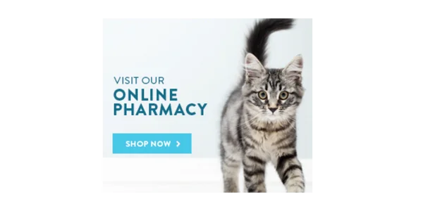 Aspen Companion & Exotic Animal Clinic